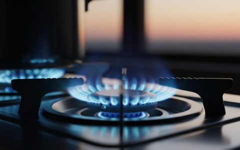 The Center of Heat: Why a High-Performance Single Burner is the Nomad’s Best Friend