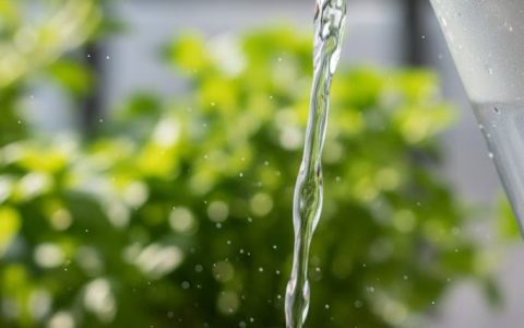 The Fluid Flow: Why a Dedicated Hydration Station is Key to Sustained Focus