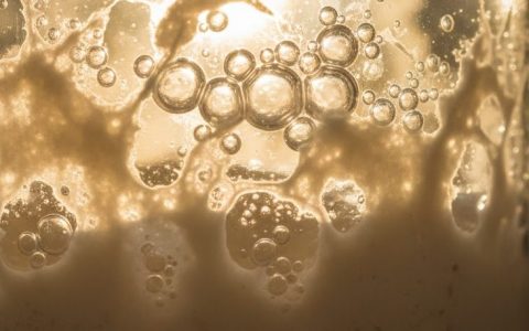 The Slow Engine: Turning Your Balcony into a Fermentation Lab