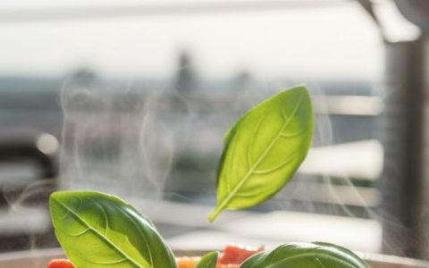 The Hyper-Local Pantry: Designing a “Clip-to-Cook” Micro-Garden